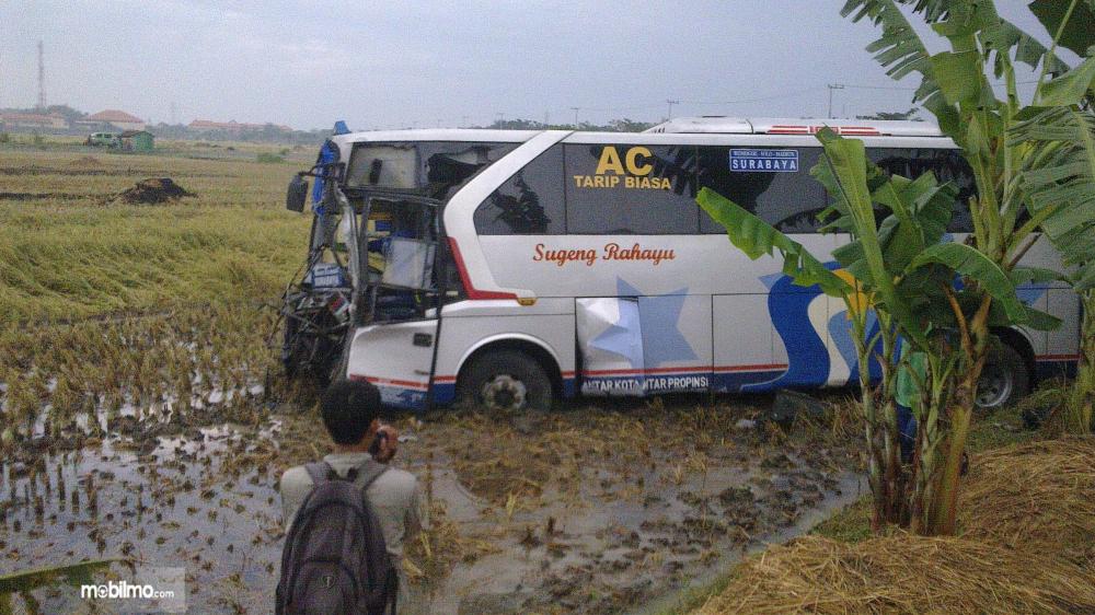 Foto Bus Sugeng Rahayu terperosok di sawah