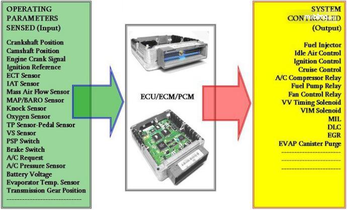 Mengenal Lebih Dalam Apa Itu Electronic Control Unit Ecu