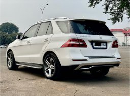 2015 Mercedes-Benz M-Class ML 250 Putih - Jual mobil bekas di DKI Jakarta