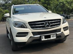 2015 Mercedes-Benz M-Class ML 250 Putih - Jual mobil bekas di DKI Jakarta