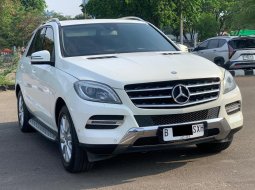 2013 Mercedes-Benz M-Class ML 250 Putih - Jual mobil bekas di DKI Jakarta