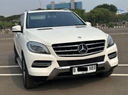 2015 Mercedes-Benz M-Class ML 250 Putih - Jual mobil bekas di DKI Jakarta