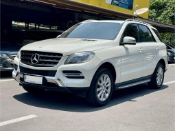 2013 Mercedes-Benz M-Class ML 250 Putih - Jual mobil bekas di DKI Jakarta