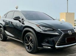 2019 Lexus NX 300 - Jual mobil bekas di DKI Jakarta