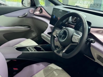 2024 BYD Dolphin Pink - Jual mobil bekas di DKI Jakarta