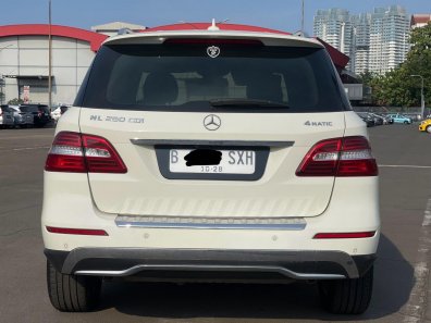 2013 Mercedes-Benz M-Class ML 250 Putih - Jual mobil bekas di DKI Jakarta