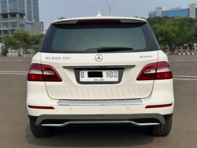 2015 Mercedes-Benz M-Class ML 250 Putih - Jual mobil bekas di DKI Jakarta