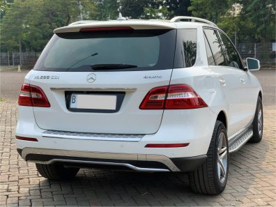 2013 Mercedes-Benz M-Class ML 250 Putih - Jual mobil bekas di DKI Jakarta