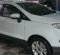 2014 Ford EcoSport Titanium Putih - Jual mobil bekas di DKI Jakarta-4