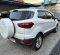 2014 Ford EcoSport Titanium Putih - Jual mobil bekas di Jawa Barat-11