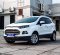 2015 Ford EcoSport Titanium Putih - Jual mobil bekas di DKI Jakarta-12
