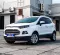 2015 Ford EcoSport Titanium SUV-10
