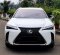 2019 Lexus UX 200 F Sport Putih - Jual mobil bekas di DKI Jakarta-3