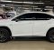 2017 Lexus RX 200T Putih - Jual mobil bekas di DKI Jakarta-14