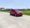 2019 Honda Brio Satya E Hatchback-2