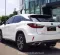 2018 Lexus RX300 Luxury SUV-11