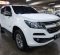 2018 Chevrolet Trailblazer 2.5L LTZ Putih - Jual mobil bekas di DKI Jakarta-11