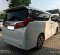 2019 Toyota Alphard 2.5 G A/T Putih - Jual mobil bekas di DKI Jakarta-1