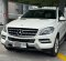 2013 Mercedes-Benz M-Class ML 250 Putih - Jual mobil bekas di DKI Jakarta-2