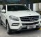 2013 Mercedes-Benz M-Class ML 250 Putih - Jual mobil bekas di DKI Jakarta-3