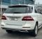 2013 Mercedes-Benz M-Class ML 250 Putih - Jual mobil bekas di DKI Jakarta-5