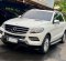 2014 Mercedes-Benz M-Class ML 250 Putih - Jual mobil bekas di DKI Jakarta-2