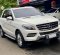 2014 Mercedes-Benz M-Class ML 250 Putih - Jual mobil bekas di DKI Jakarta-3