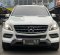 2014 Mercedes-Benz M-Class ML 250 Putih - Jual mobil bekas di DKI Jakarta-1