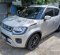 2022 Suzuki Ignis GX AGS Silver - Jual mobil bekas di Bali-2