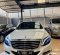 2015 Mercedes-Benz S-Class S 400 Putih - Jual mobil bekas di Jawa Barat-1