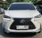 2017 Lexus NX 300 F-Sport Putih - Jual mobil bekas di DKI Jakarta-2