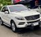 2014 Mercedes-Benz M-Class ML 250 Putih - Jual mobil bekas di DKI Jakarta-9