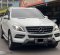 2014 Mercedes-Benz M-Class ML 250 Putih - Jual mobil bekas di DKI Jakarta-1