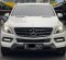 2014 Mercedes-Benz M-Class ML 250 Putih - Jual mobil bekas di DKI Jakarta-2