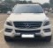 2015 Mercedes-Benz M-Class ML 250 Putih - Jual mobil bekas di DKI Jakarta-1