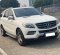 2015 Mercedes-Benz M-Class ML 250 Putih - Jual mobil bekas di DKI Jakarta-5