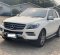 2015 Mercedes-Benz M-Class ML 250 Putih - Jual mobil bekas di DKI Jakarta-10