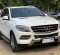 2015 Mercedes-Benz M-Class ML 250 Hitam - Jual mobil bekas di DKI Jakarta-3