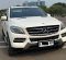 2015 Mercedes-Benz M-Class ML 250 Putih - Jual mobil bekas di DKI Jakarta-1