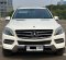 2015 Mercedes-Benz M-Class ML 250 Putih - Jual mobil bekas di DKI Jakarta-2