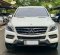 2014 Mercedes-Benz M-Class ML 250 Putih - Jual mobil bekas di DKI Jakarta-1