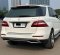 2015 Mercedes-Benz M-Class ML 250 Putih - Jual mobil bekas di DKI Jakarta-4