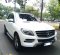 2015 Mercedes-Benz M-Class ML 250 Putih - Jual mobil bekas di DKI Jakarta-2