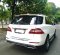 2015 Mercedes-Benz M-Class ML 250 Putih - Jual mobil bekas di DKI Jakarta-6