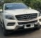 2015 Mercedes-Benz M-Class ML 250 Putih - Jual mobil bekas di DKI Jakarta-1