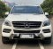 2015 Mercedes-Benz M-Class ML 250 Putih - Jual mobil bekas di DKI Jakarta-1