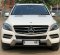 2015 Mercedes-Benz M-Class ML 250 Putih - Jual mobil bekas di DKI Jakarta-1