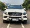 2015 Mercedes-Benz M-Class ML 250 Putih - Jual mobil bekas di DKI Jakarta-4