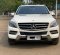 2015 Mercedes-Benz M-Class ML 250 Putih - Jual mobil bekas di DKI Jakarta-6