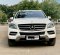 2015 Mercedes-Benz M-Class ML 250 Putih - Jual mobil bekas di DKI Jakarta-8